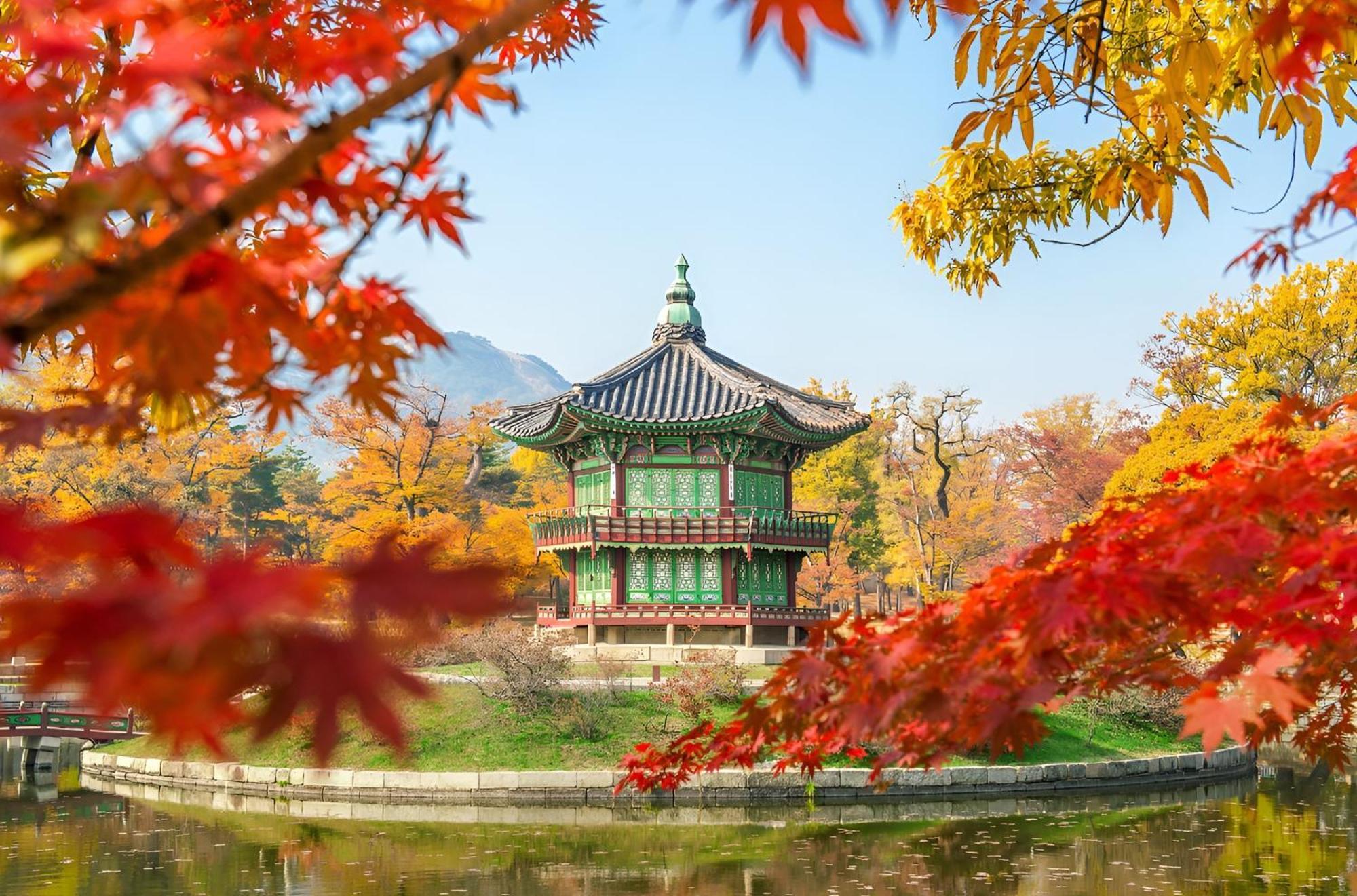 Hotel Myeongdong Seoul Ngoại thất bức ảnh